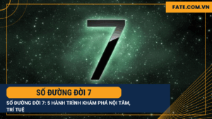 Số đường đời 7