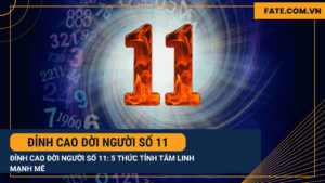 Đỉnh cao đời người số 11