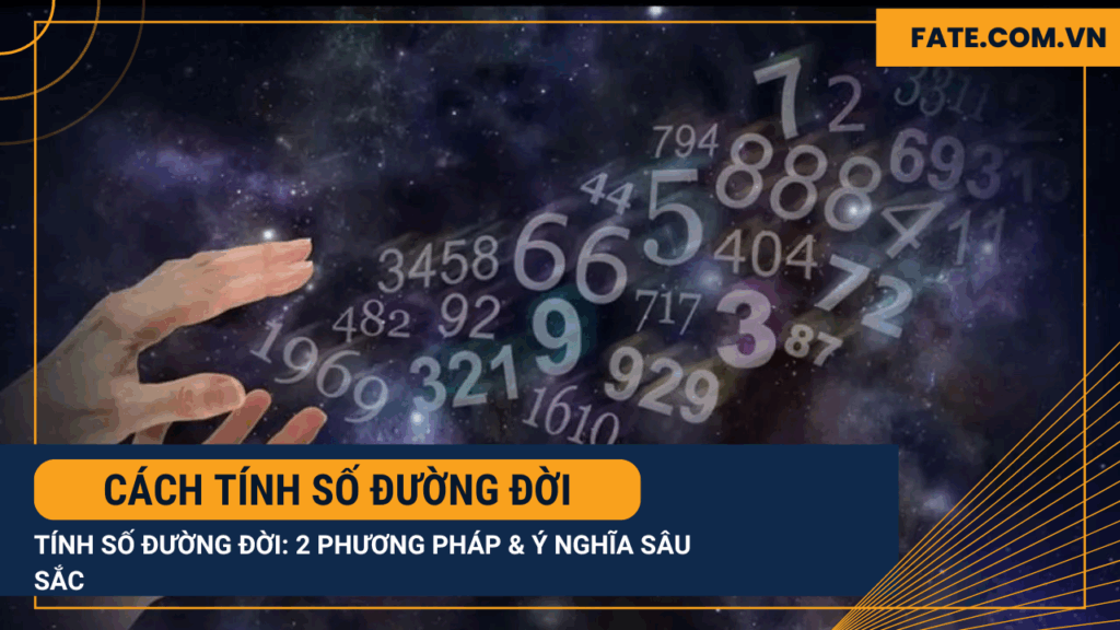 Cách tính số đường đời