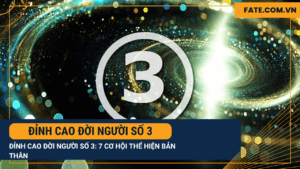 Đỉnh cao đời người số 3