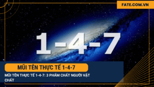Mũi tên Thực tế 1-4-7