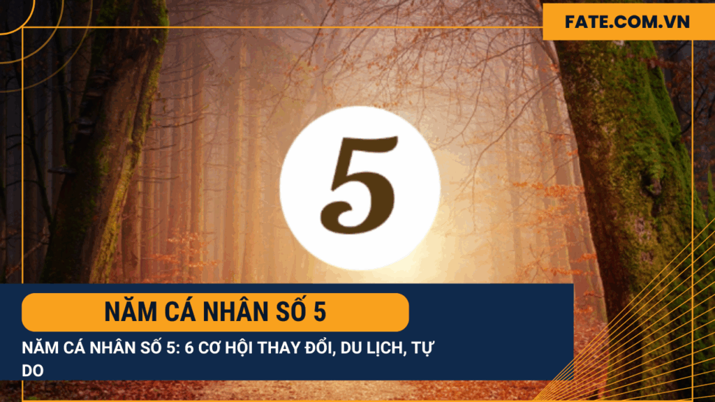 Năm cá nhân số 5