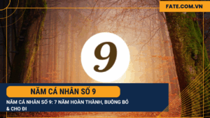 Năm cá nhân số 9