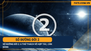Số đường đời 2
