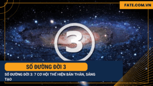Số đường đời 3