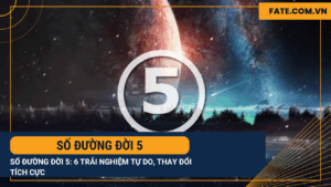 Số đường đời 5