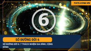 Số đường đời 6