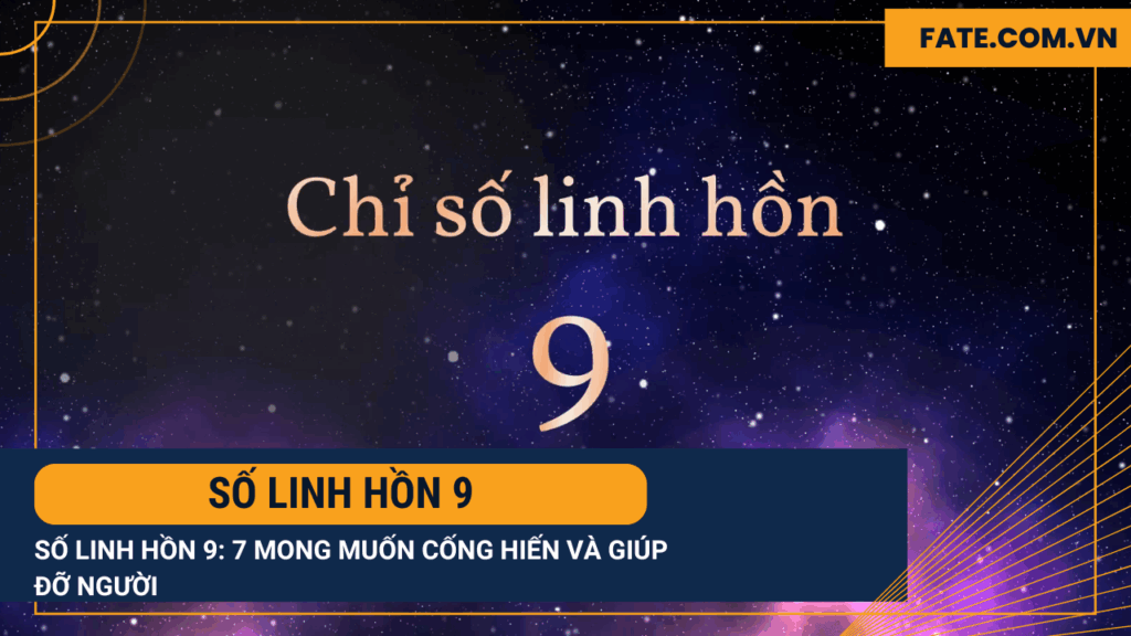 Số linh hồn 9