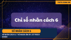 Số nhân cách 6