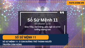 Số sứ mệnh 11