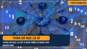 Thần số học là gì