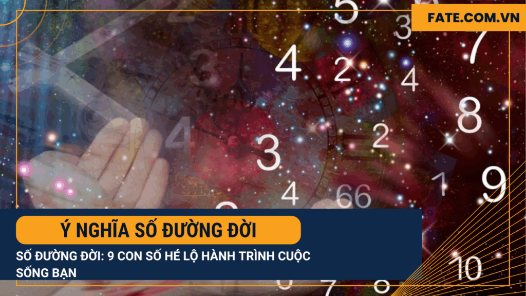 Ý nghĩa số đường đời