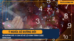 Ý nghĩa số đường đời