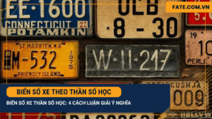Biển số xe theo thần số học
